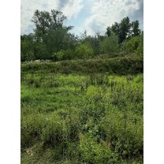 Pripravovaná 3. opakovaná dražba - pozemok k.ú. Jur nad Hronom, okres Levice